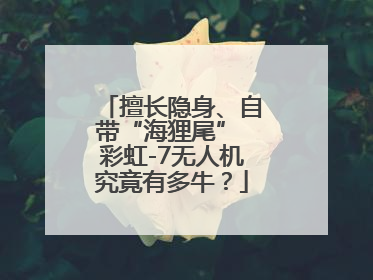 擅长隐身、自带“海狸尾” 彩虹-7无人机究竟有多牛？