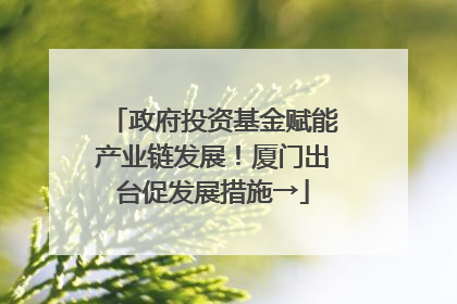 政府投资基金赋能产业链发展！厦门出台促发展措施→