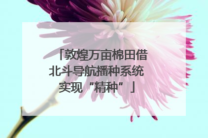 敦煌万亩棉田借北斗导航播种系统实现“精种”