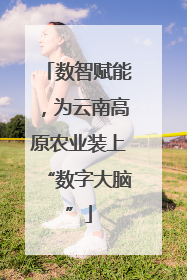 数智赋能，为云南高原农业装上“数字大脑”