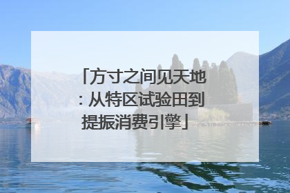 方寸之间见天地：从特区试验田到提振消费引擎