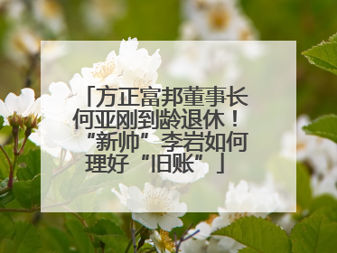 方正富邦董事长何亚刚到龄退休！“新帅”李岩如何理好“旧账”