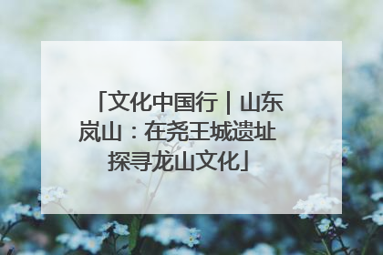 文化中国行｜山东岚山：在尧王城遗址探寻龙山文化