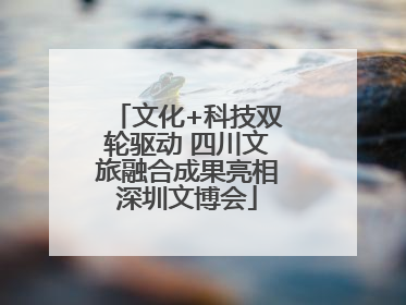 文化+科技双轮驱动 四川文旅融合成果亮相深圳文博会