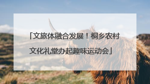 文旅体融合发展！桐乡农村文化礼堂办起趣味运动会