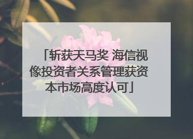斩获天马奖 海信视像投资者关系管理获资本市场高度认可