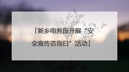 新乡电务段开展“安全宣传咨询日”活动