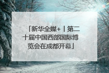 新华全媒+丨第二十届中国西部国际博览会在成都开幕