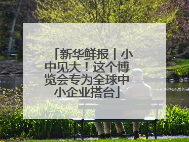 新华鲜报丨小中见大！这个博览会专为全球中小企业搭台