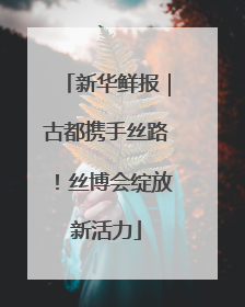 新华鲜报｜古都携手丝路！丝博会绽放新活力