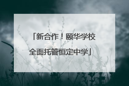 新合作！颐华学校全面托管恒定中学