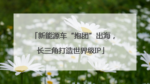 新能源车“抱团”出海，长三角打造世界级IP