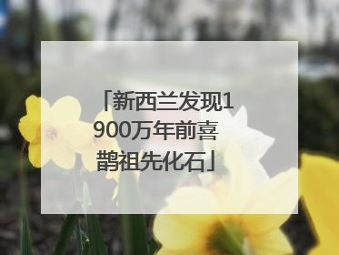 新西兰发现1900万年前喜鹊祖先化石
