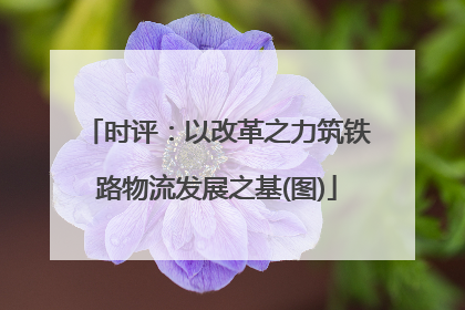 时评：以改革之力筑铁路物流发展之基(图)
