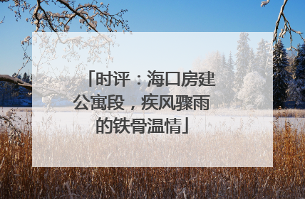 时评：海口房建公寓段，疾风骤雨的铁骨温情