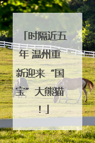 时隔近五年 温州重新迎来“国宝”大熊猫！