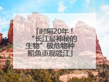 时隔20年！“长江最神秘的生物”极危物种鳤鱼重现赣江