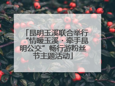 昆明玉溪联合举行“情暖玉溪・牵手昆明公交”畅行游粉丝节主题活动
