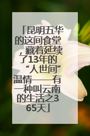 昆明五华的这间食堂，藏着延续了13年的“人世间”温情——有一种叫云南的生活之365天