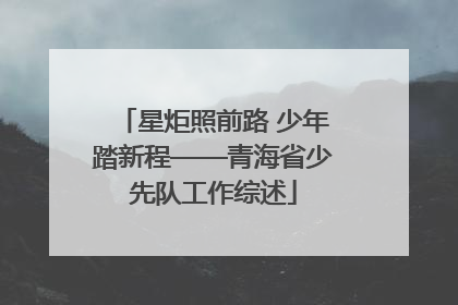 星炬照前路 少年踏新程——青海省少先队工作综述