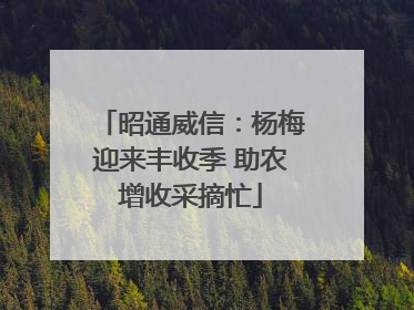 昭通威信：杨梅迎来丰收季 助农增收采摘忙