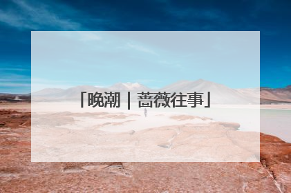 晚潮｜蔷薇往事