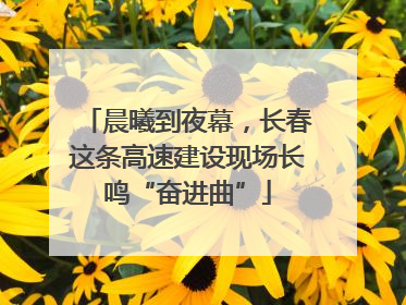晨曦到夜幕，长春这条高速建设现场长鸣“奋进曲”