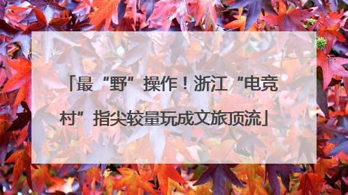 最“野”操作！浙江“电竞村”指尖较量玩成文旅顶流