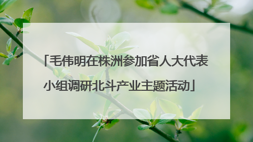 毛伟明在株洲参加省人大代表小组调研北斗产业主题活动