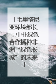 毛里塔尼亚环境部长：中非绿色合作播种非洲“绿色长城”的未来