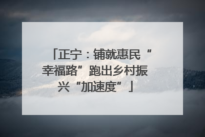 正宁：铺就惠民“幸福路”跑出乡村振兴“加速度”
