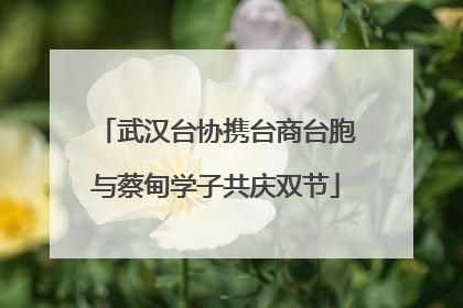 武汉台协携台商台胞与蔡甸学子共庆双节