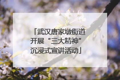 武汉唐家墩街道开展“三大精神”沉浸式宣讲活动
