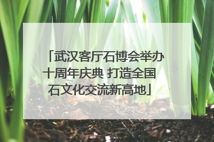 武汉客厅石博会举办十周年庆典 打造全国石文化交流新高地