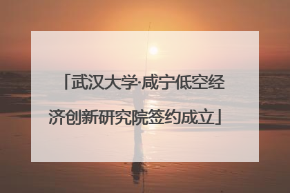 武汉大学·咸宁低空经济创新研究院签约成立