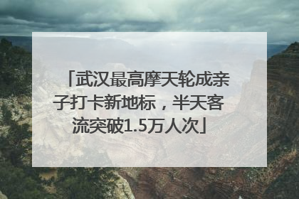 武汉最高摩天轮成亲子打卡新地标，半天客流突破1.5万人次