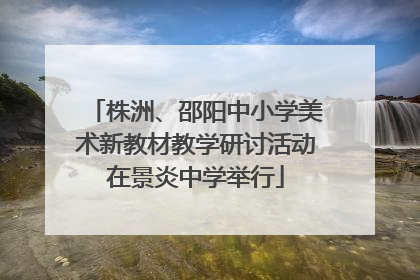 株洲、邵阳中小学美术新教材教学研讨活动在景炎中学举行