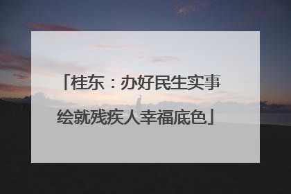 桂东：办好民生实事 绘就残疾人幸福底色