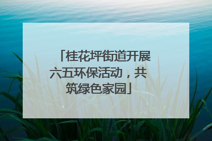 桂花坪街道开展六五环保活动，共筑绿色家园