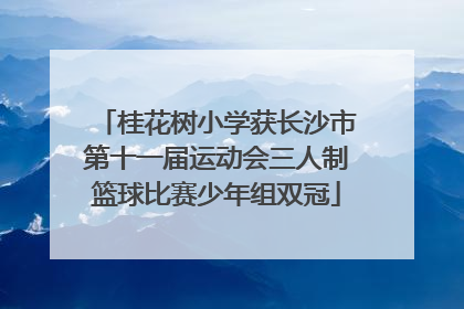 桂花树小学获长沙市第十一届运动会三人制篮球比赛少年组双冠