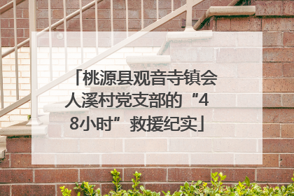 桃源县观音寺镇会人溪村党支部的“48小时”救援纪实