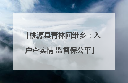桃源县青林回维乡：入户查实情 监督保公平
