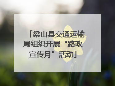 梁山县交通运输局组织开展“路政宣传月”活动