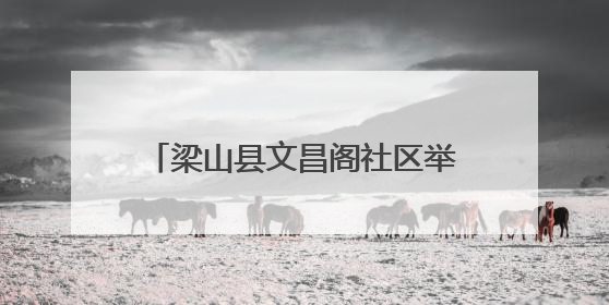 梁山县文昌阁社区举办便民服务系列活动