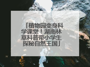 植物园变身科学课堂！湖南林草科普带小学生探秘自然王国