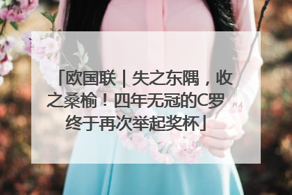 欧国联｜失之东隅，收之桑榆！四年无冠的C罗终于再次举起奖杯