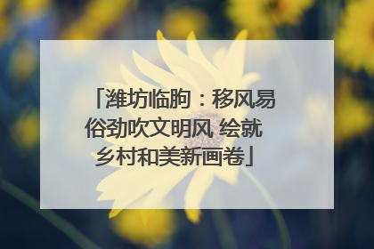 潍坊临朐：移风易俗劲吹文明风 绘就乡村和美新画卷