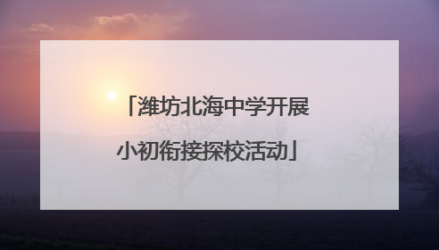 潍坊北海中学开展小初衔接探校活动