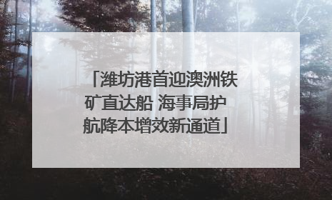 潍坊港首迎澳洲铁矿直达船 海事局护航降本增效新通道