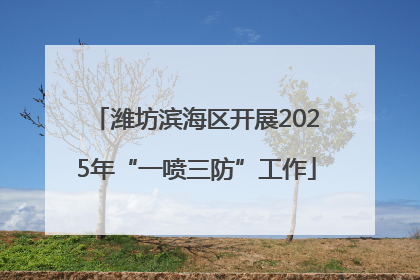 潍坊滨海区开展2025年“一喷三防”工作